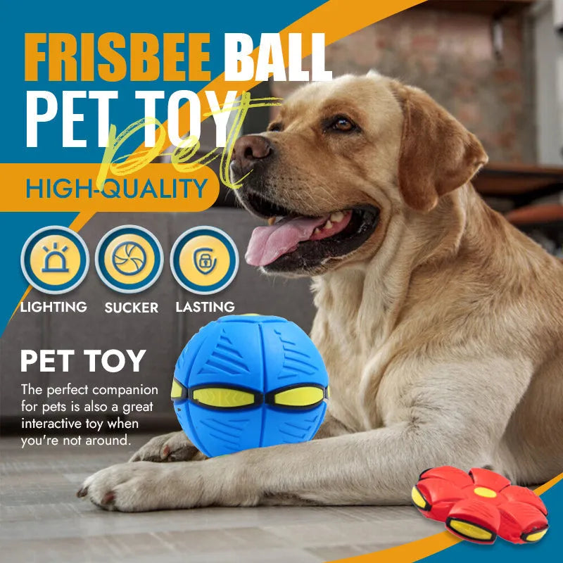 Pet Flying Saucer Ball