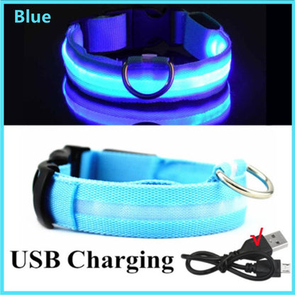 Luminous Dog Collar