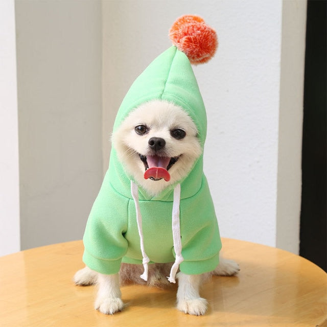 Fruit Pet Coat Hoodies