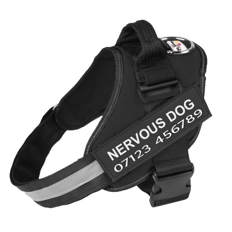 Non- Personalized No Pull Dog Harness