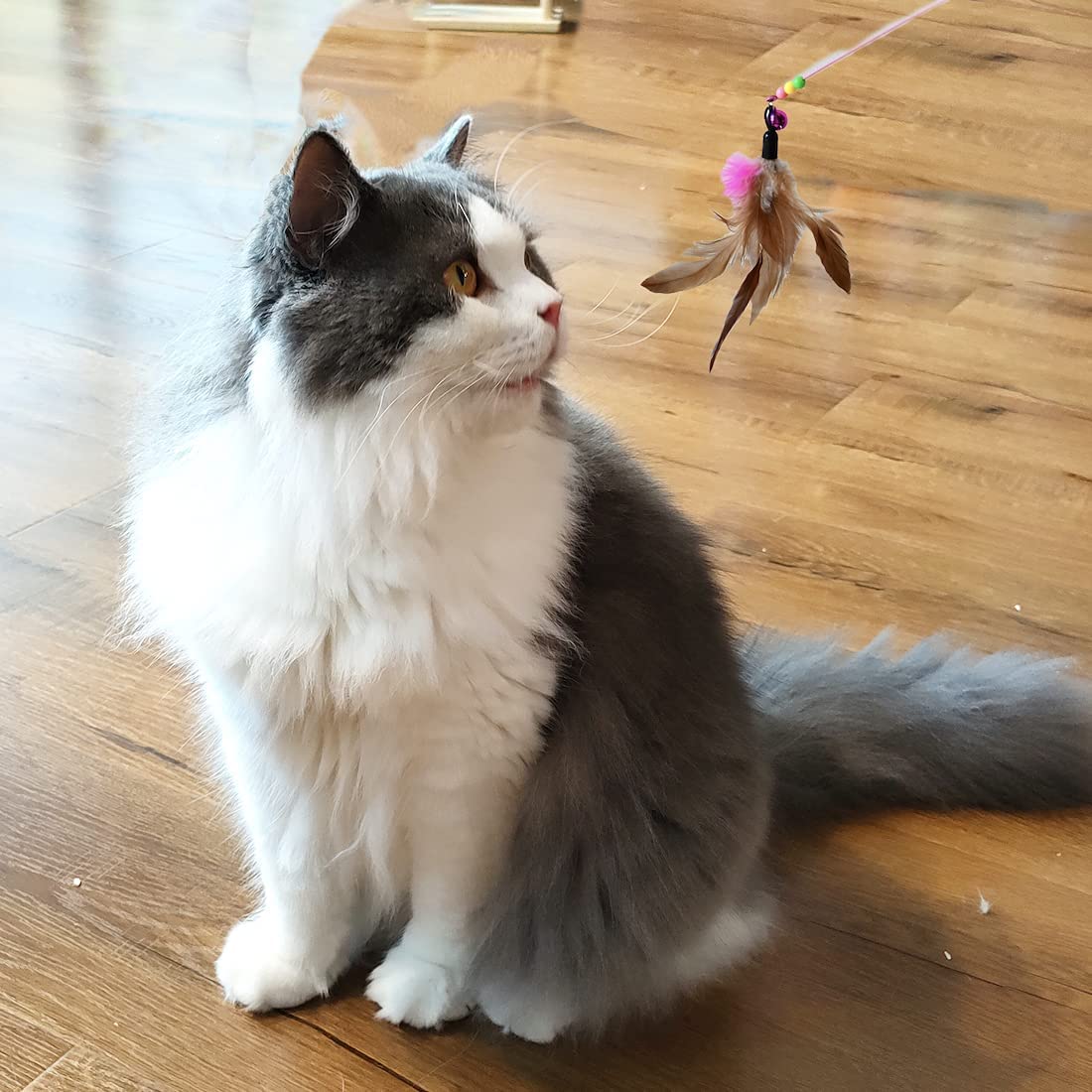 Interactive Feather and Ball Cat Toys